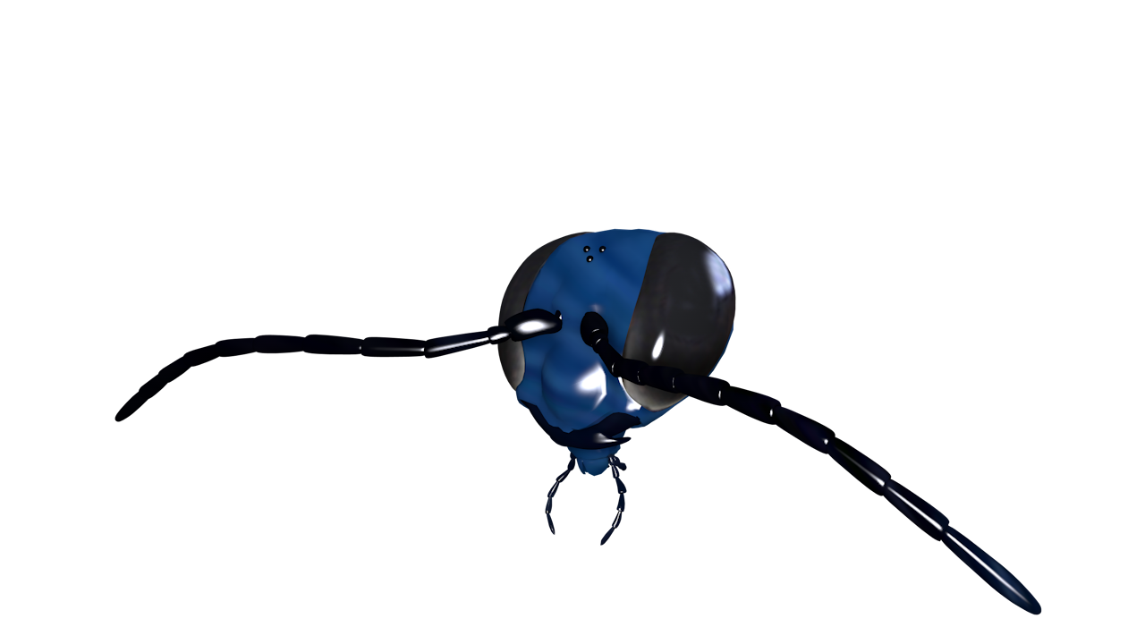 head