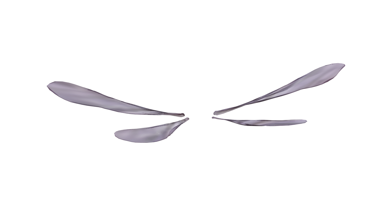 wings